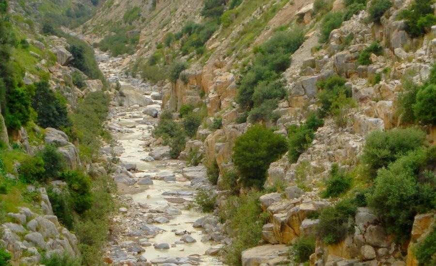 ÉTUDE D’AVANT PROJET SOMMAIRE D’UN BARRAGE SUR OUED EL HAMMAM-DELEGATION DE ZRIBA GOUVERNORAT DE ZAGHOUAN